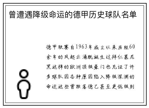 曾遭遇降级命运的德甲历史球队名单